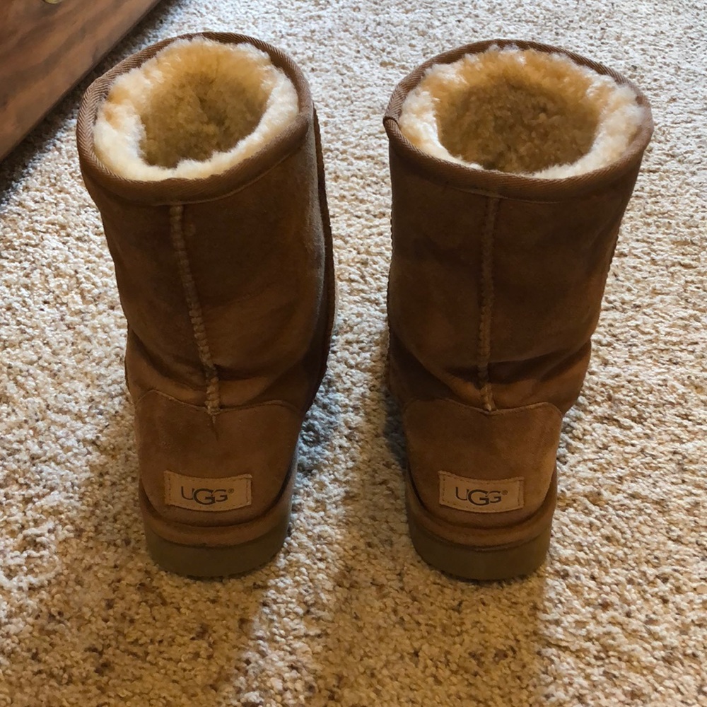 Short tan uggs - Picture 2 of 6